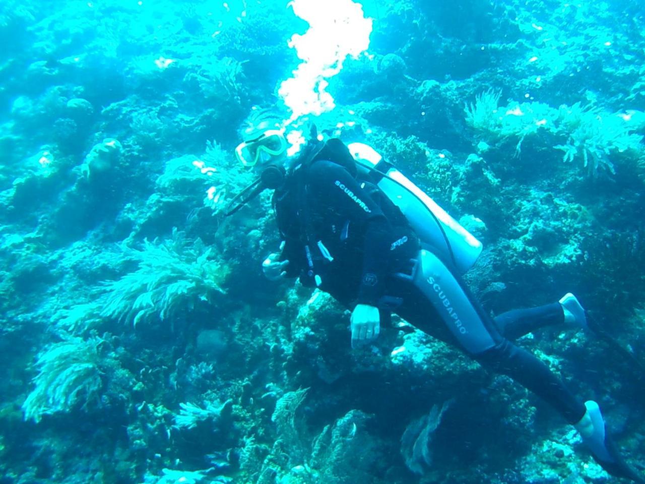 Wakatobi Patuno Diving And Beach Resort By Sahid Wanci Exterior foto