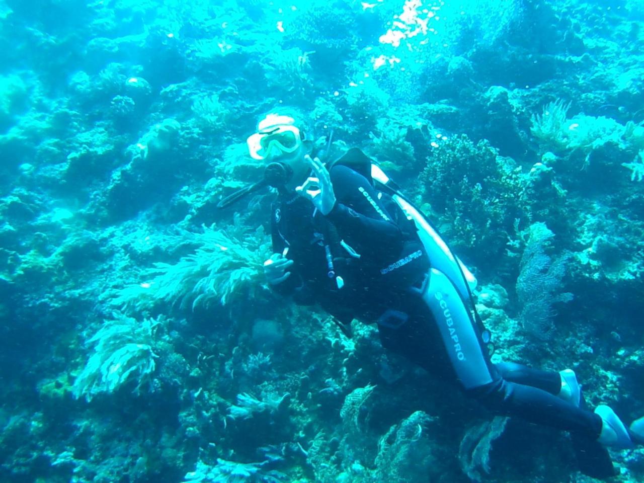 Wakatobi Patuno Diving And Beach Resort By Sahid Wanci Exterior foto